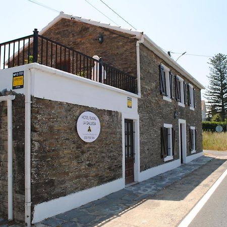 La Gallega Valdoviño المظهر الخارجي الصورة