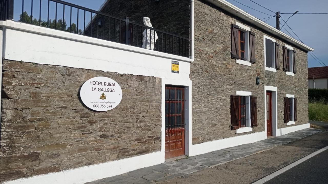 La Gallega Valdoviño المظهر الخارجي الصورة